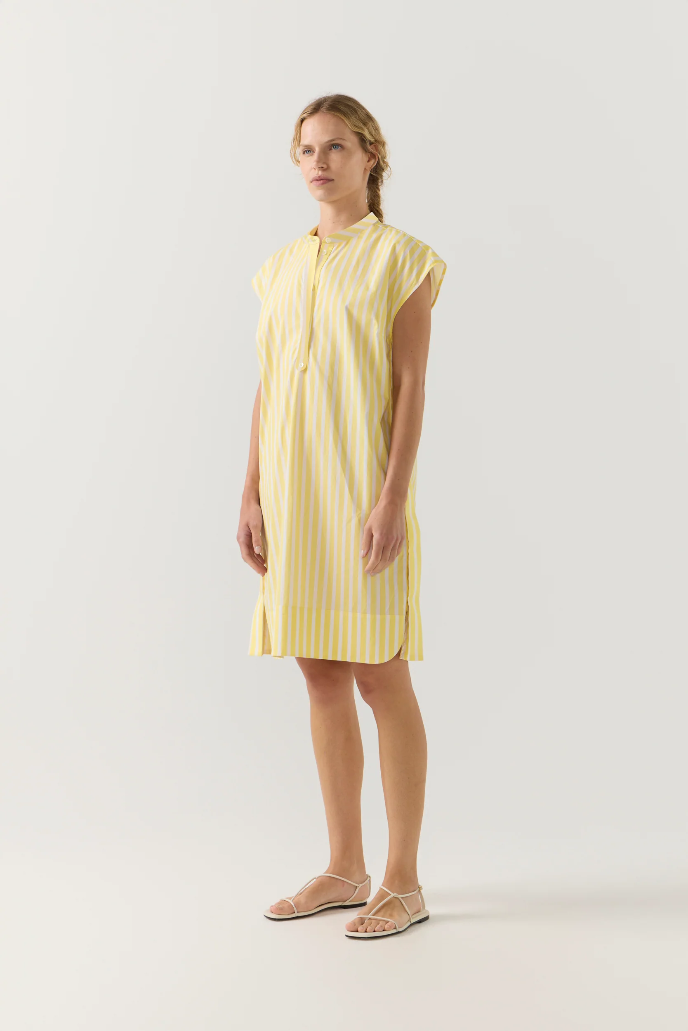 Foemina | Gia Dress | Lemon Stripe Poplin