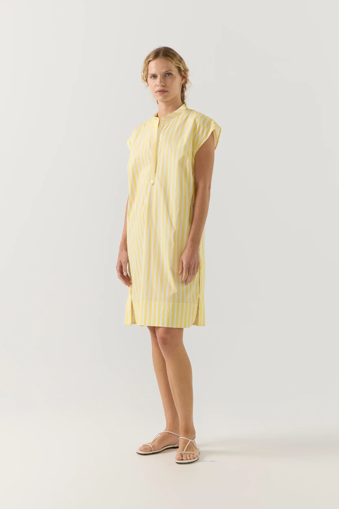 Foemina | Gia Dress | Lemon Stripe Poplin