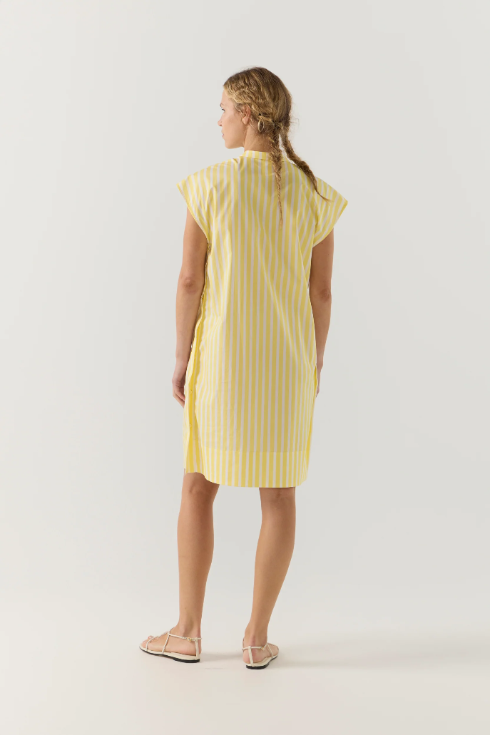 Foemina | Gia Dress | Lemon Stripe Poplin