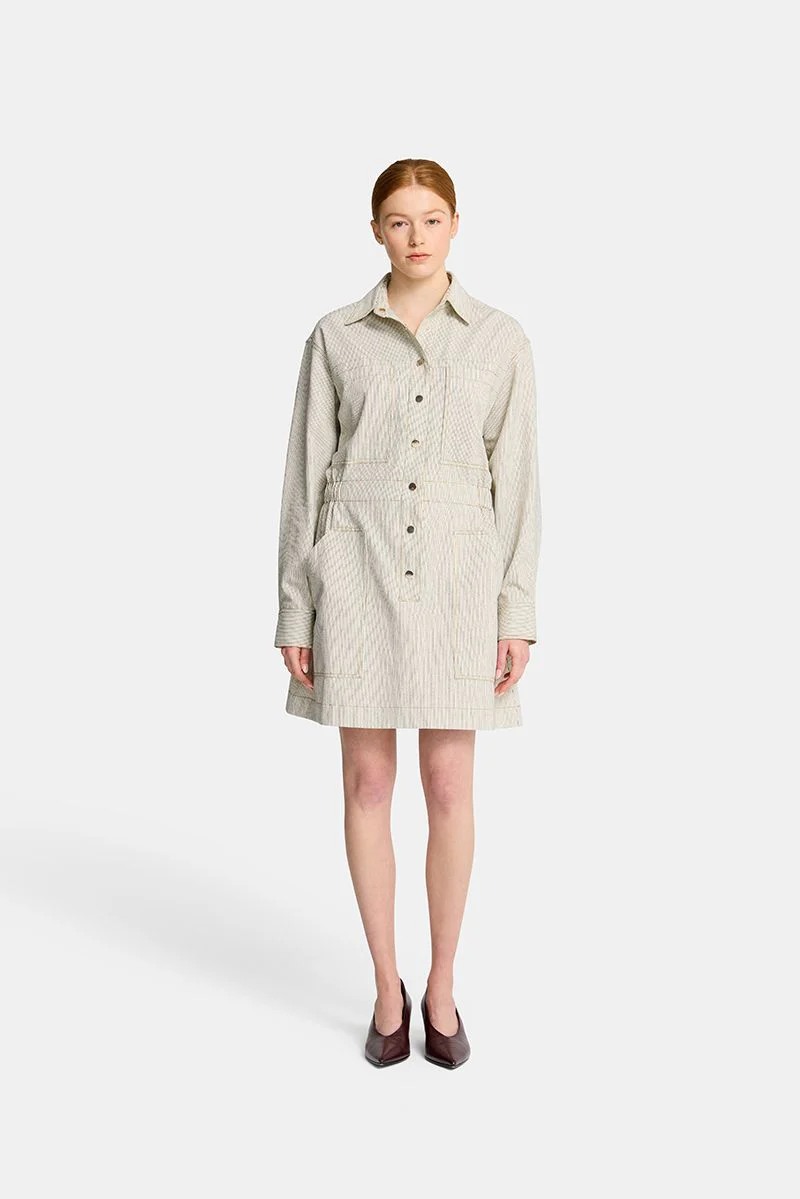 Arlington Milne | Dana Mini Dress | Stripe